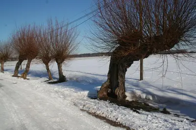 FW Leuchtturm im Winter