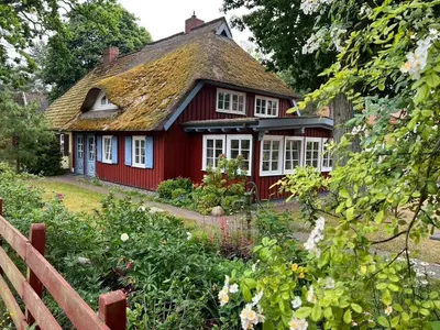 Ein Garten an der Unterkunft Ellas Kate