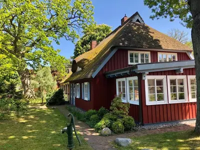 Ein Garten an der Unterkunft Ellas Kate