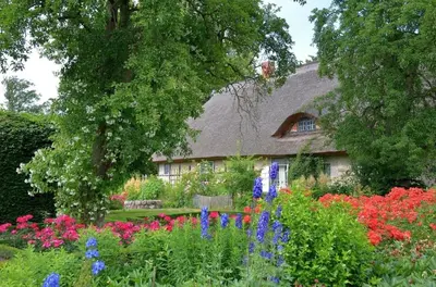 Ein Garten an der Unterkunft Ferienwohnung Apfelgarten am Pfarrgarten Starkow