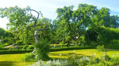Ein Garten an der Unterkunft Ferienwohnung Rosengarten am Pfarrgarten Starkow