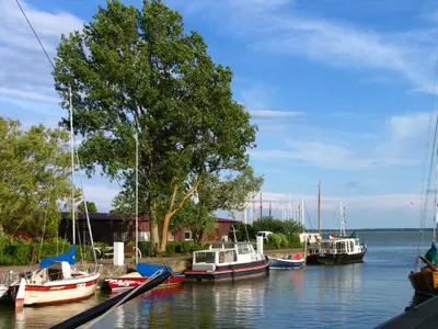 Naturlandschaft in der Nähe der Ferienwohnung