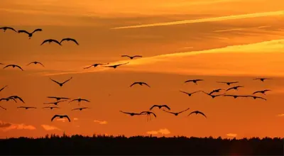 Blick auf den Sonnenuntergang/Sonnenaufgang von des Ferienhauses aus oder aus der Nähe
