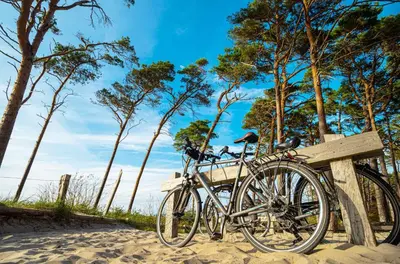 Radfahren an der Unterkunft 5-Sterne-Ferienwohnung Ostseeglück Zingst inklusive Strandkorb von April-Oktober oder in der Nähe
