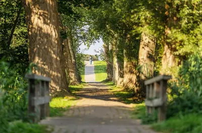 Grundriss der Unterkunft Traumhafte Ferienwohnung Wellenmeer, Wellness trifft auf Historische Seefahrtschule