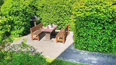 Ein Garten an der Unterkunft Buchengrund Wo 5