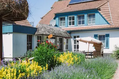 Ein Garten an der Unterkunft Haus am Schilf - Wohnung 6