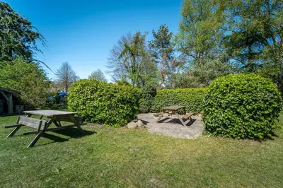 Ein Garten an der Unterkunft Tom's Hof Ferienwhg Inga