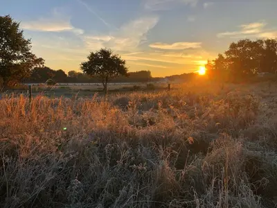 Blick auf den Sonnenuntergang/Sonnenaufgang von der Ferienwohnung aus oder aus der Nähe