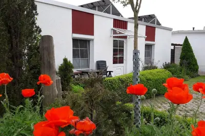 Ein Garten an der Unterkunft Zwischen Meer und Bodden App 01