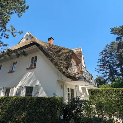 Schwalbennest