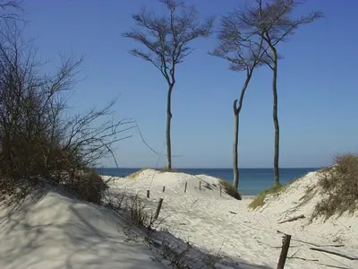 Naturlandschaft in der Nähe des Ferienhauses