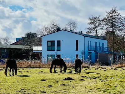 Gäste, die in der Unterkunft Koje Boddenbrise übernachten