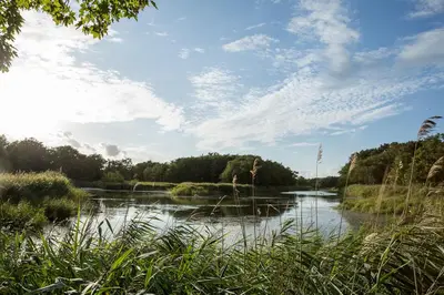 Naturlandschaft in der Nähe der Ferienwohnung