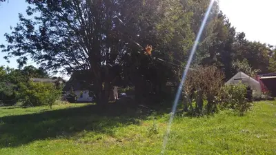 Ein Garten an der Unterkunft Ferienhäuschen