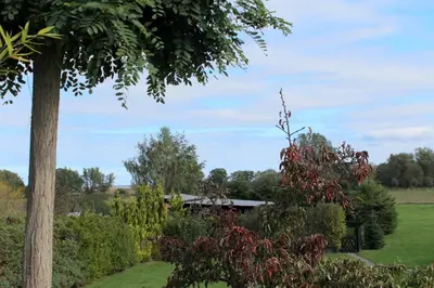 Ein Garten an der Unterkunft Alte Gärtnerei App Akazie