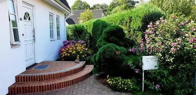 Ein Garten an der Unterkunft Strandmöwe 2