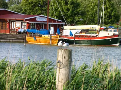 Naturlandschaft in der Nähe des Ferienhauses