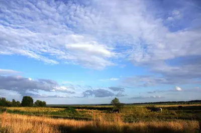 Naturlandschaft in der Nähe der Ferienwohnung