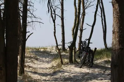 Naturlandschaft in der Nähe des Ferienhauses