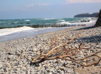 Naturlandschaft in der Nähe des Ferienhauses
